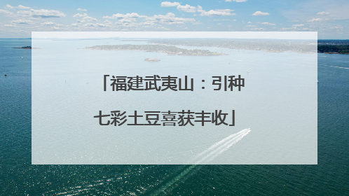 福建武夷山：引种七彩土豆喜获丰收
