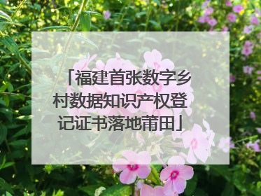 福建首张数字乡村数据知识产权登记证书落地莆田