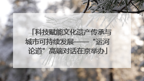 科技赋能文化遗产传承与城市可持续发展——“运河论道”高端对话在京举办