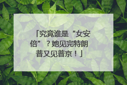 究竟谁是“女安倍”？她见完特朗普又见普京！
