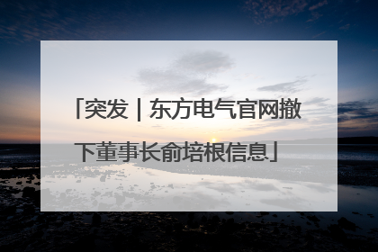 突发｜东方电气官网撤下董事长俞培根信息