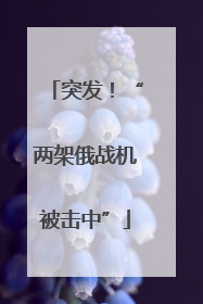 突发！“两架俄战机被击中”