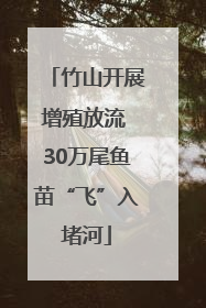 竹山开展增殖放流 30万尾鱼苗“飞”入堵河