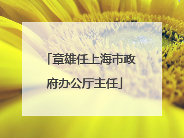 章雄任上海市政府办公厅主任