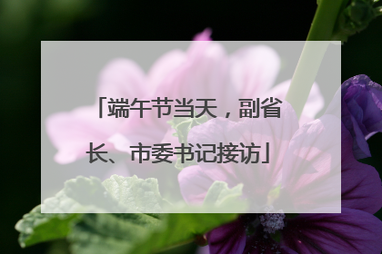 端午节当天，副省长、市委书记接访