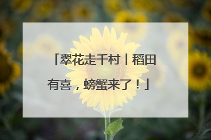 翠花走千村丨稻田有喜，螃蟹来了！