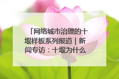 网络城市治理的十堰样板系列报道｜新闻专访：十堰为什么成为“黑马型”城市治理网络维度典型