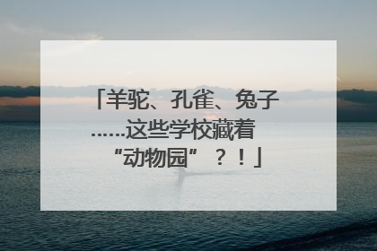 羊驼、孔雀、兔子……这些学校藏着 “动物园”？！