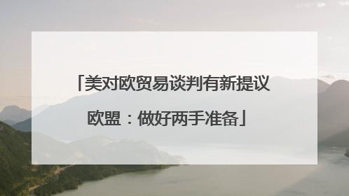 美对欧贸易谈判有新提议 欧盟：做好两手准备