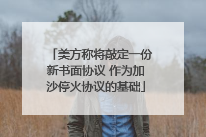 美方称将敲定一份新书面协议 作为加沙停火协议的基础