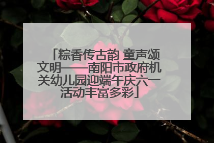 粽香传古韵 童声颂文明——南阳市政府机关幼儿园迎端午庆六一活动丰富多彩