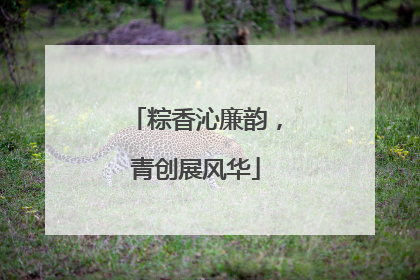 粽香沁廉韵，青创展风华