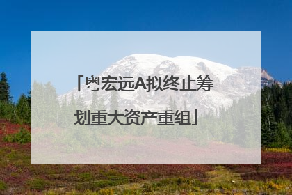 粤宏远A拟终止筹划重大资产重组