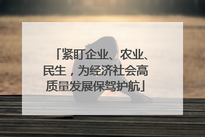紧盯企业、农业、民生，为经济社会高质量发展保驾护航