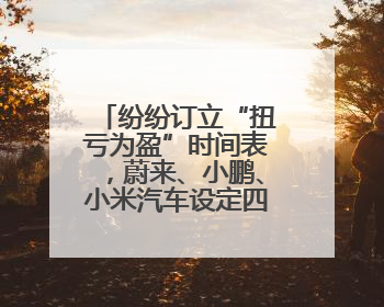 纷纷订立“扭亏为盈”时间表，蔚来、小鹏、小米汽车设定四季度盈利