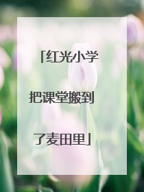 红光小学把课堂搬到了麦田里