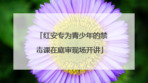 红安专为青少年的禁毒课在庭审现场开讲