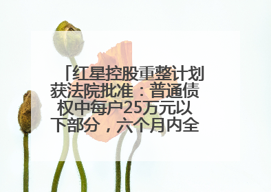 红星控股重整计划获法院批准：普通债权中每户25万元以下部分，六个月内全额现金清偿