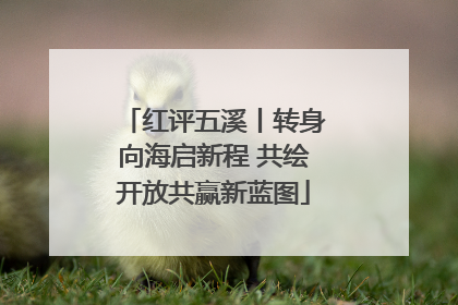 红评五溪丨转身向海启新程 共绘开放共赢新蓝图