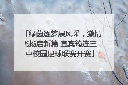 绿茵逐梦展风采，激情飞扬启新篇 宜宾筠连三中校园足球联赛开赛