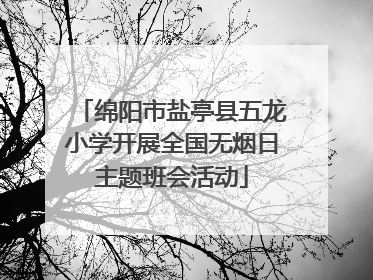 绵阳市盐亭县五龙小学开展全国无烟日主题班会活动