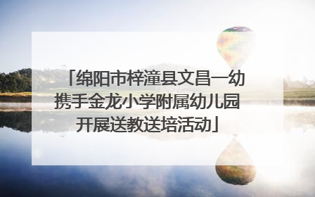 绵阳市梓潼县文昌一幼携手金龙小学附属幼儿园开展送教送培活动