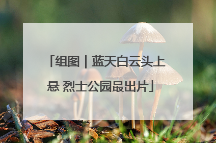 组图｜蓝天白云头上悬 烈士公园最出片
