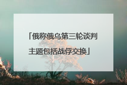 俄称俄乌第三轮谈判主题包括战俘交换