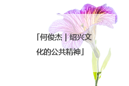 何俊杰｜绍兴文化的公共精神
