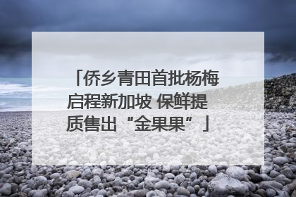 侨乡青田首批杨梅启程新加坡 保鲜提质售出“金果果”