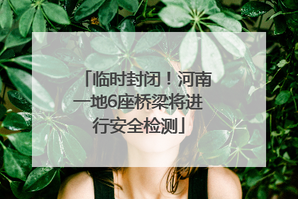 临时封闭！河南一地6座桥梁将进行安全检测