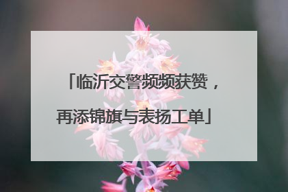 临沂交警频频获赞，再添锦旗与表扬工单