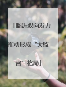 临沂双向发力推动形成“大监督”格局