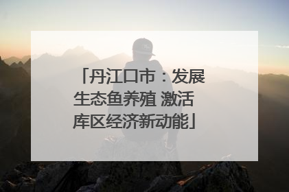 丹江口市：发展生态鱼养殖 激活库区经济新动能