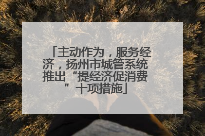 主动作为，服务经济，扬州市城管系统推出“提经济促消费”十项措施