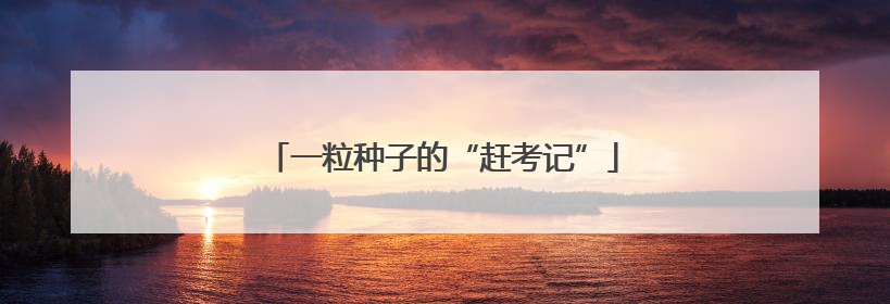 一粒种子的“赶考记”