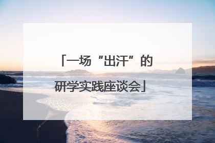 一场“出汗”的研学实践座谈会
