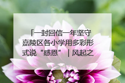 一封回信一年坚守 嘉陵区各小学用多彩形式说“感恩”｜风起之江 扶摇直上