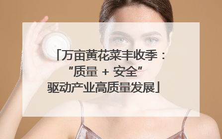 万亩黄花菜丰收季：“质量 + 安全” 驱动产业高质量发展