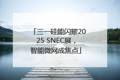 三一硅能闪耀2025 SNEC展，智能微网成焦点