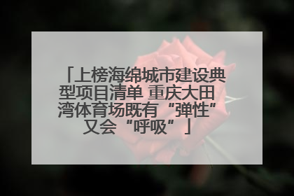 上榜海绵城市建设典型项目清单 重庆大田湾体育场既有“弹性”又会“呼吸”