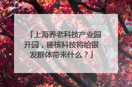 上海养老科技产业园开园，硬核科技将给银发群体带来什么？