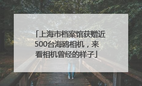 上海市档案馆获赠近500台海鸥相机，来看相机曾经的样子