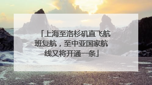 上海至洛杉矶直飞航班复航，至中亚国家航线又将开通一条