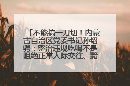 不能搞一刀切！内蒙古自治区党委书记孙绍骋：整治违规吃喝不是阻绝正常人际交往、黯淡人间烟火