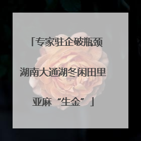 专家驻企破瓶颈 湖南大通湖冬闲田里亚麻“生金”