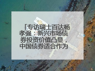 专访瑞士百达杨孝强：新兴市场债券投资价值凸显，中国债券适合作为“稳定器”