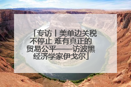 专访丨美单边关税不停止 难有真正的贸易公平——访波黑经济学家伊戈尔