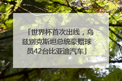 世界杯首次出线，乌兹别克斯坦总统豪赠球员42台比亚迪汽车