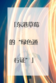 东港草莓的“绿色通行证”